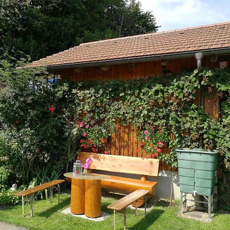 Privatzimmer Am Weinbrunnen Vorchdorf Exteriör bild