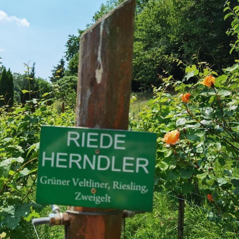 Privatzimmer Am Weinbrunnen Vorchdorf Exteriör bild