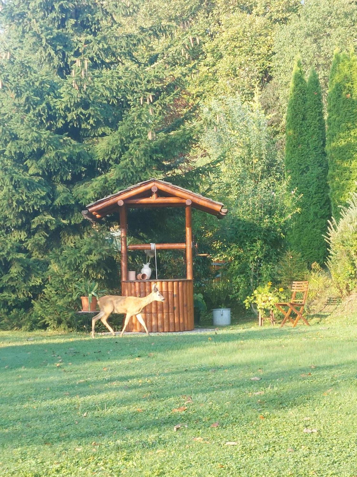 Privatzimmer Am Weinbrunnen Vorchdorf Exteriör bild
